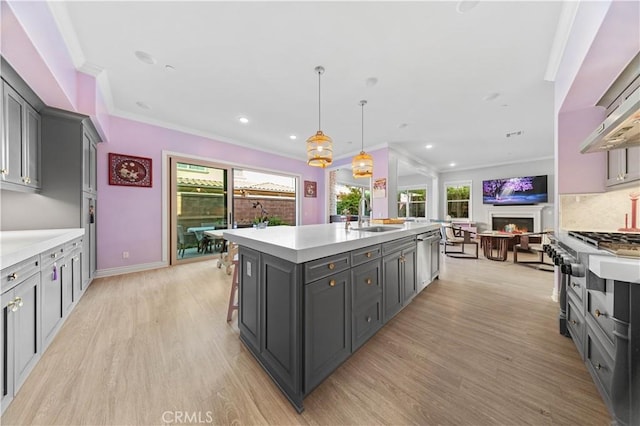 kitchen with sink, gray cabinets, light hardwood / wood-style floors, a center island with sink, and decorative light fixtures