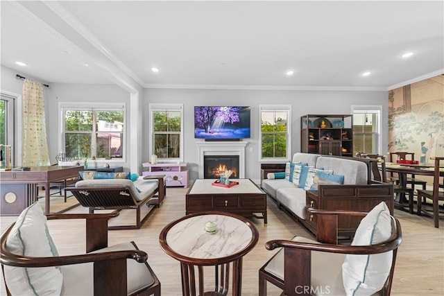 living room featuring crown molding and light hardwood / wood-style flooring