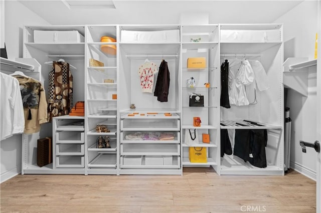 walk in closet with light wood-type flooring