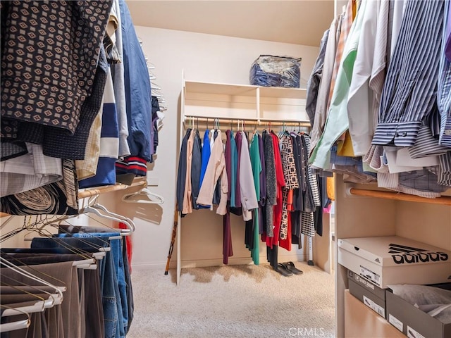 walk in closet with carpet