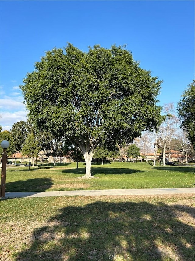 view of community featuring a yard