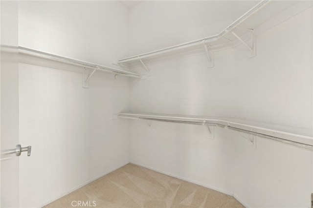 spacious closet featuring light colored carpet