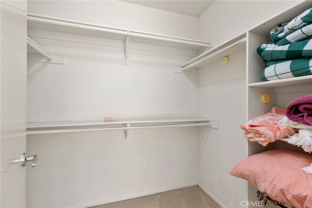 spacious closet with light carpet