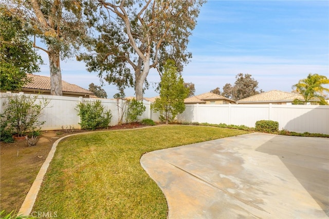 view of yard featuring a patio area