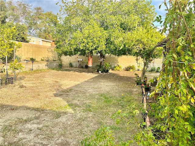 17626 Orange Ct, Fontana, CA 92335 - photo 33