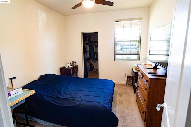 carpeted bedroom with a walk in closet, a closet, and ceiling fan