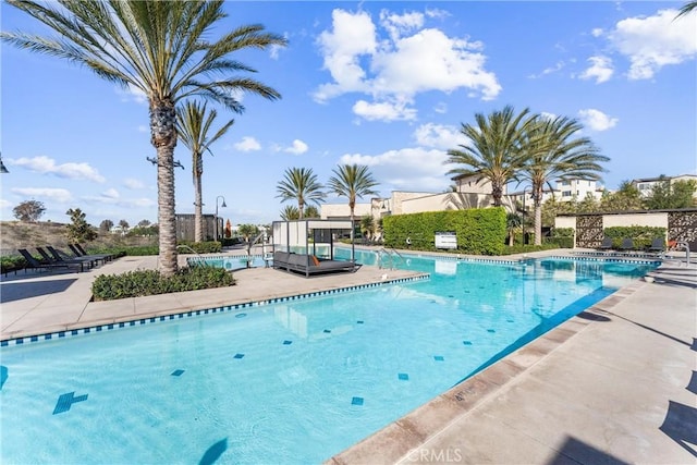 view of pool with a patio