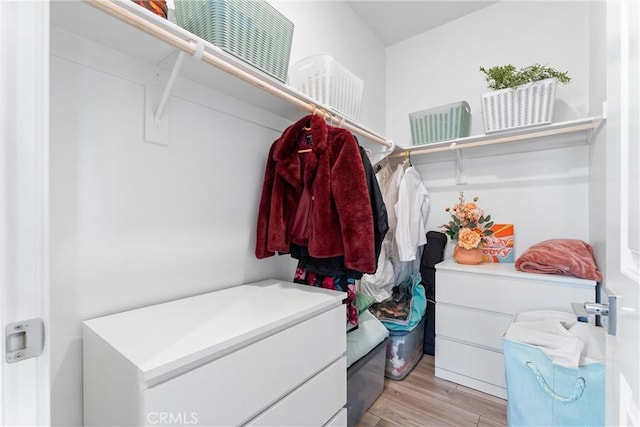 walk in closet featuring light hardwood / wood-style floors