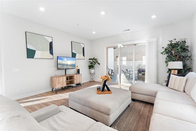 living room featuring wood-type flooring