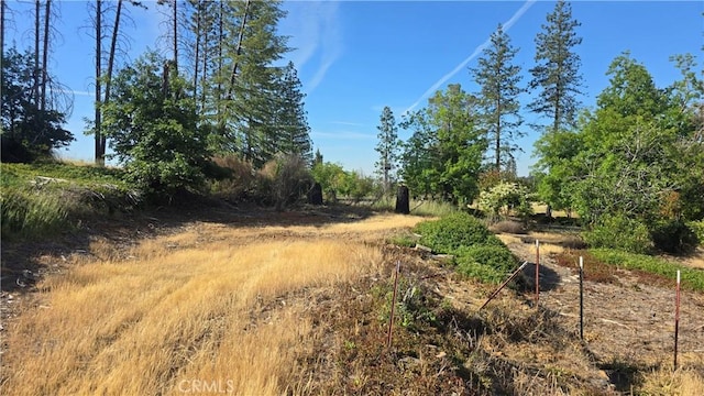 778 Highland Ln, Paradise, CA 95969