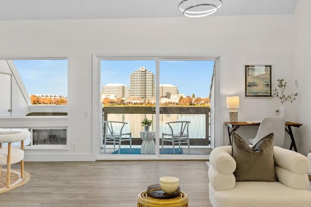 living room featuring hardwood / wood-style flooring and a wealth of natural light