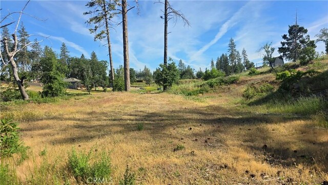 790 Highland Ln, Paradise, CA 95969 - photo 6