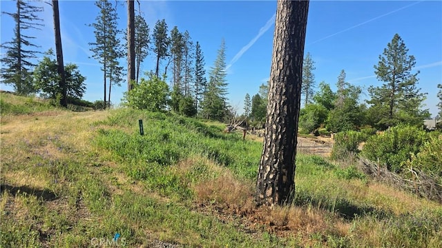 790 Highland Ln, Paradise, CA 95969 - photo 2