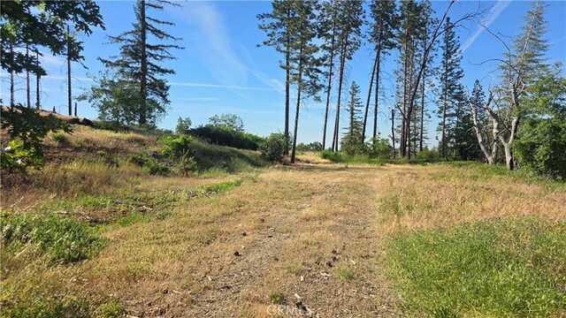 790 Highland Ln, Paradise, CA 95969 - photo 5