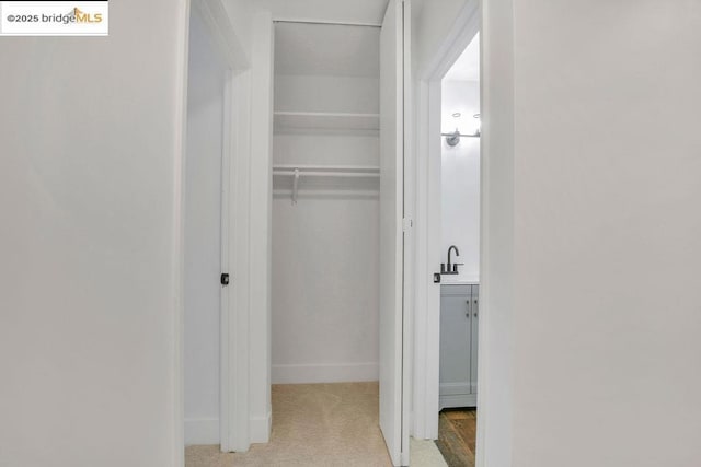 closet with sink