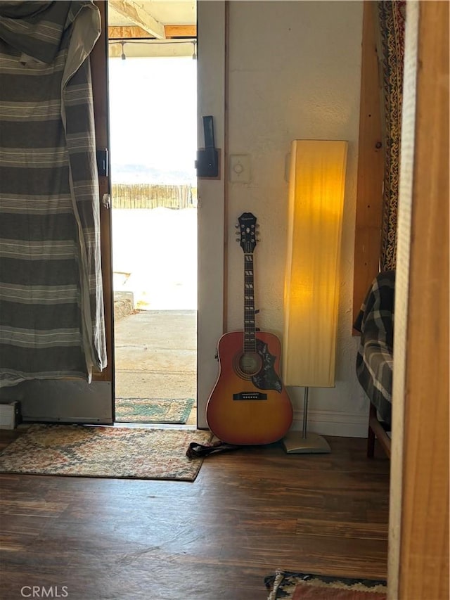 entryway featuring wood finished floors