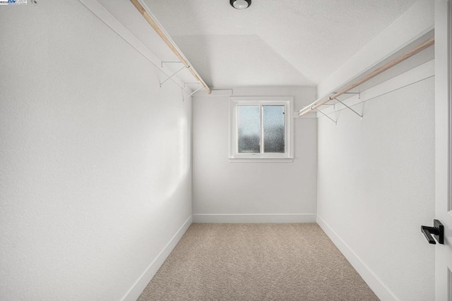 walk in closet featuring lofted ceiling and light carpet