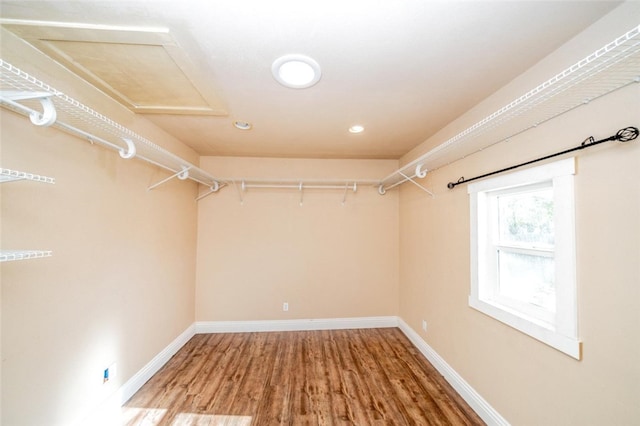 walk in closet featuring wood-type flooring