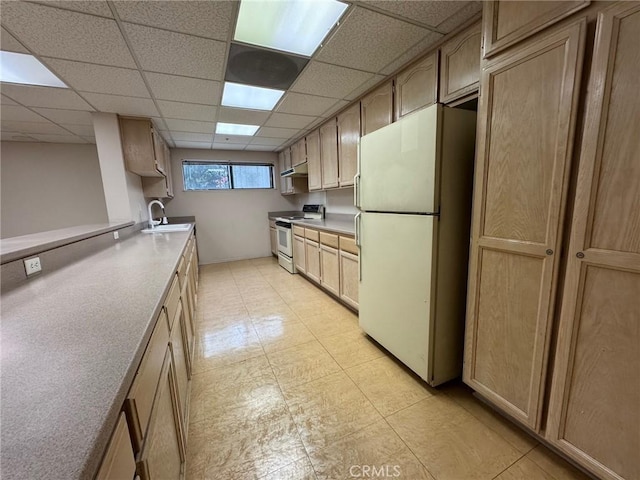 kitchen with sink, white appliances, a paneled ceiling, and light brown cabinets