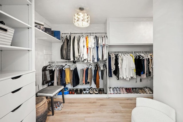 walk in closet featuring an inviting chandelier and light hardwood / wood-style flooring