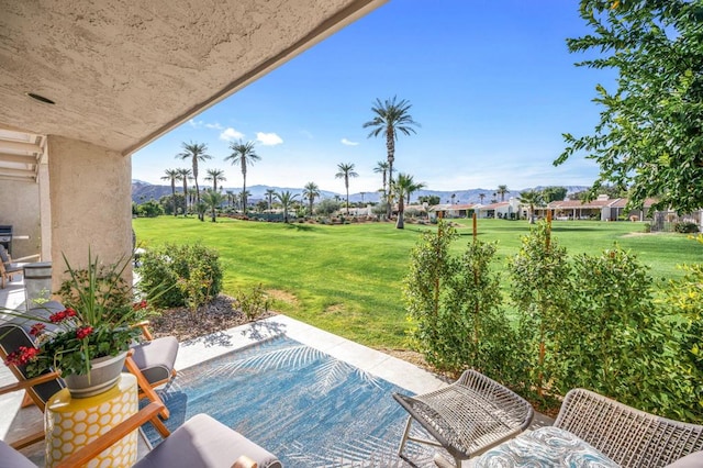 view of pool with a patio area and a lawn