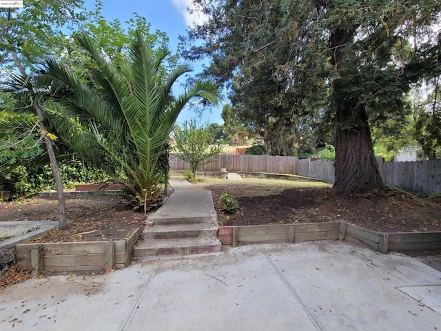 view of yard featuring a patio area