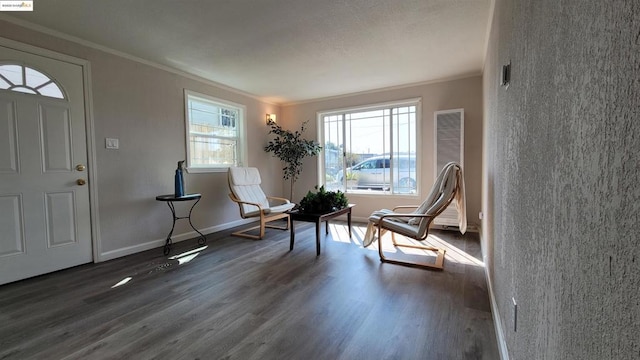 sitting room featuring crown molding and dark wood-type flooring