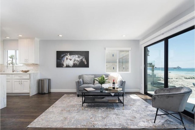 living room with a water view, dark hardwood / wood-style floors, a wealth of natural light, and sink