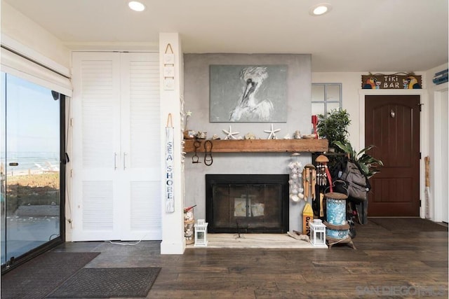 living room featuring dark wood-type flooring and a fireplace