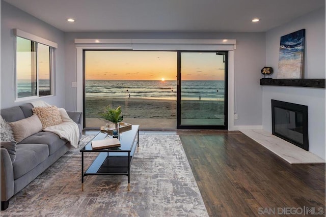 living room with hardwood / wood-style flooring