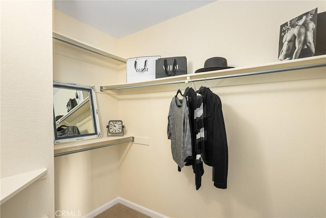 view of walk in closet