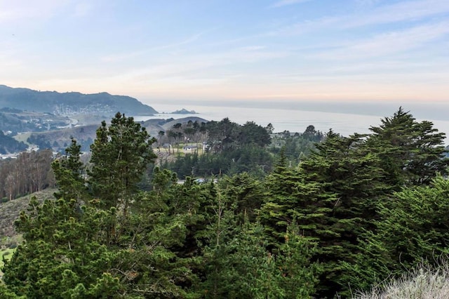 property view of mountains featuring a water view