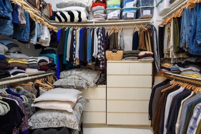 view of spacious closet