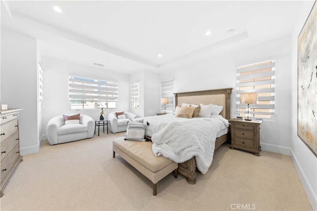 carpeted bedroom with a raised ceiling