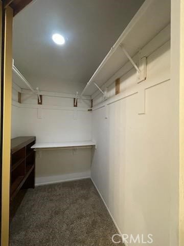 walk in closet featuring dark colored carpet