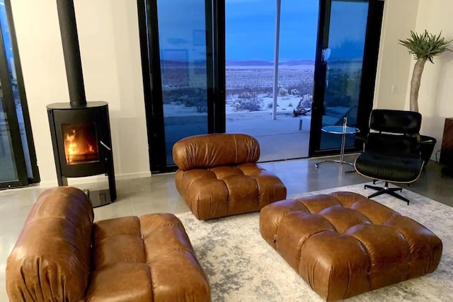 living room featuring a wood stove