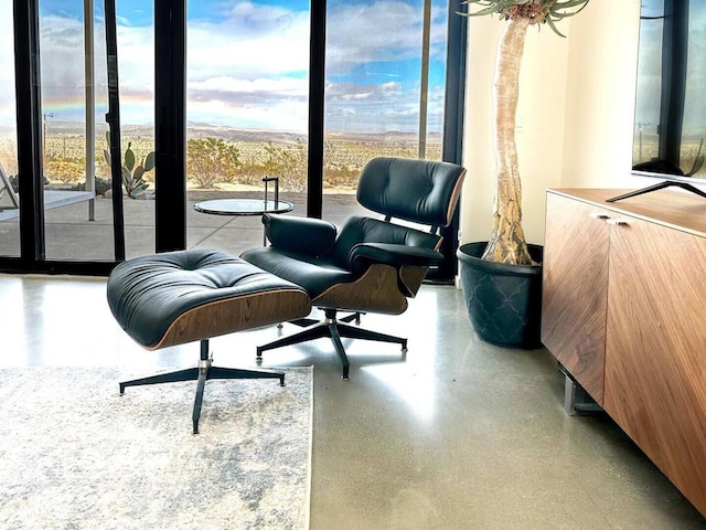 sitting room with a wealth of natural light