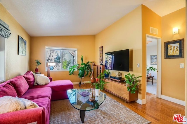 living room with lofted ceiling and wood-type flooring