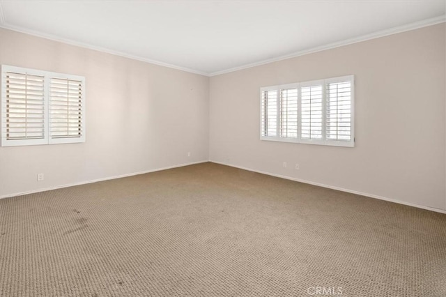 spare room with ornamental molding and carpet