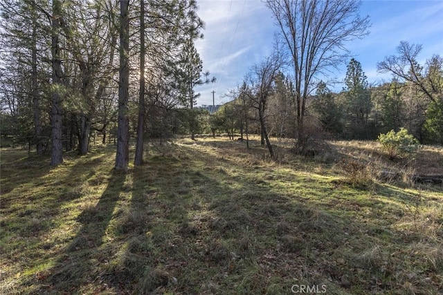 Listing photo 2 for 1839 Appleseed Ln, Mariposa CA 95338