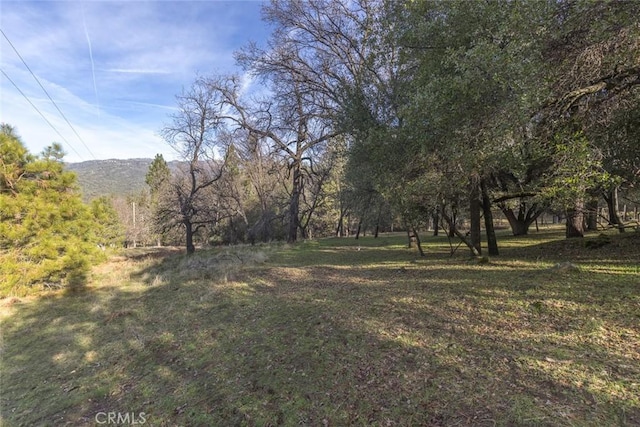 1839 Appleseed Ln, Mariposa CA, 95338 land for sale