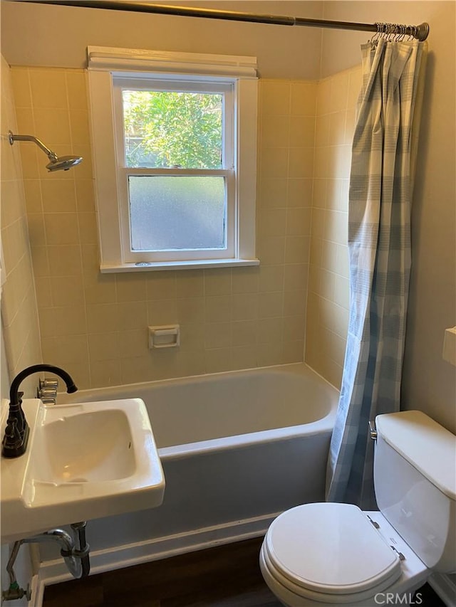 bathroom with toilet and a sink