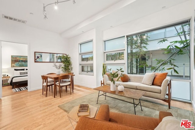 living room with light hardwood / wood-style flooring