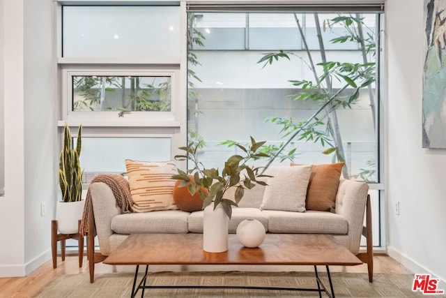 sitting room featuring plenty of natural light and light wood-type flooring