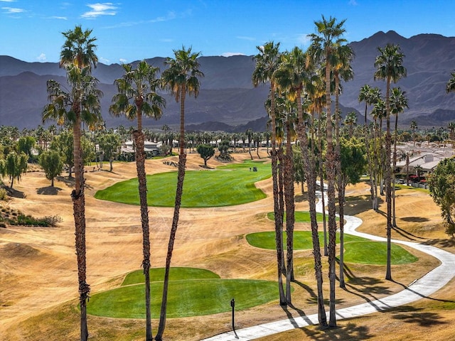 view of property's community featuring a mountain view and a yard