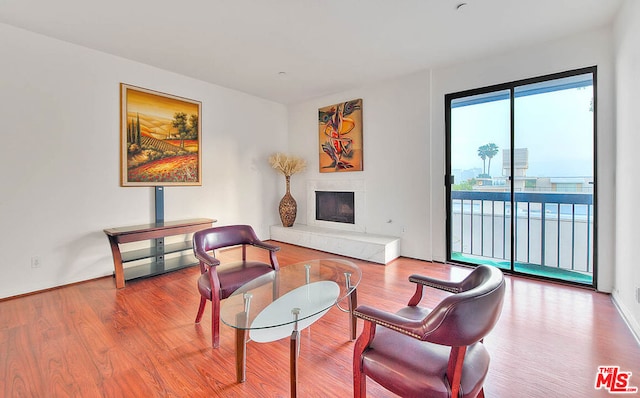 living room with hardwood / wood-style floors