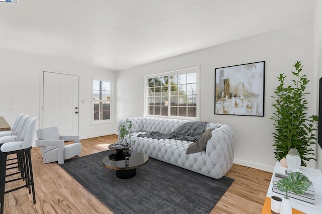 living room with wood-type flooring