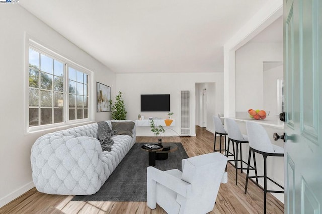 living room with light hardwood / wood-style flooring