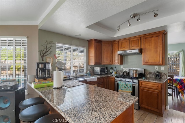 kitchen featuring sink, a breakfast bar area, stainless steel gas stove, light stone counters, and a tray ceiling