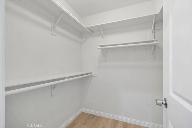 spacious closet featuring hardwood / wood-style flooring